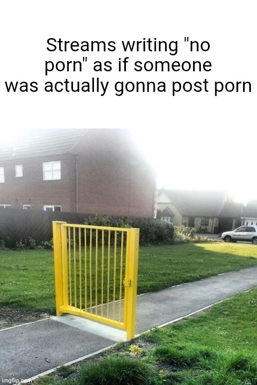 Not changing anything vro ? | Streams writing "no porn" as if someone was actually gonna post porn | image tagged in useless fence meme | made w/ Imgflip meme maker