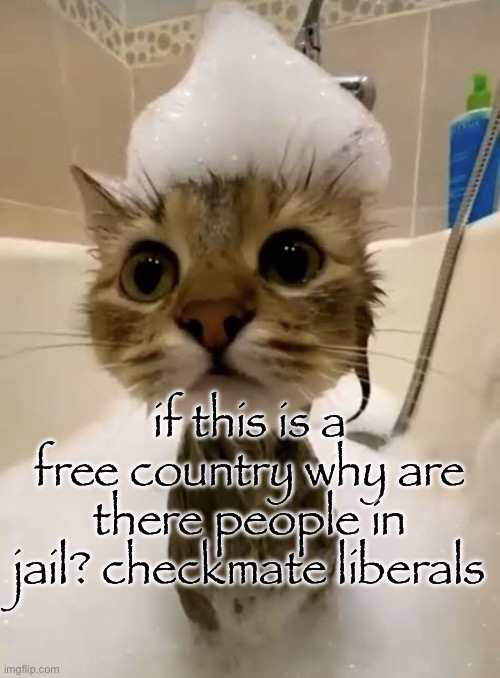 if this is a free country why are there people in jail? checkmate liberals | made w/ Imgflip meme maker