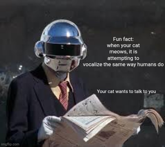 Too bad about the language barrier | Fun fact: when your cat meows, it is attempting to vocalize the same way humans do; Your cat wants to talk to you | image tagged in daft punk,big booby goth girls | made w/ Imgflip meme maker