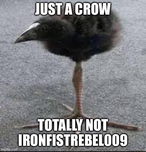 Tripod Bird | JUST A CROW; TOTALLY NOT IRONFISTREBEL009 | image tagged in tripod bird | made w/ Imgflip meme maker
