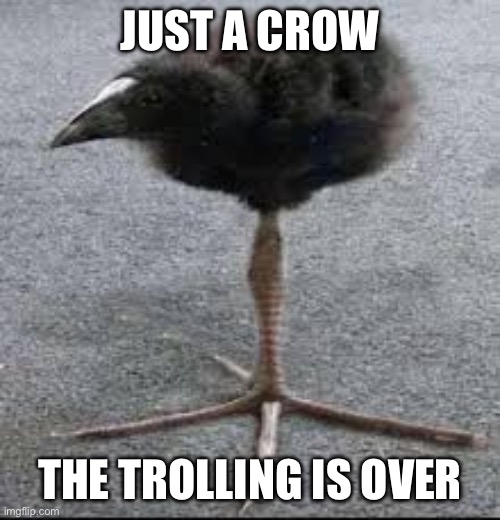 Tripod Bird | JUST A CROW; THE TROLLING IS OVER | image tagged in tripod bird | made w/ Imgflip meme maker