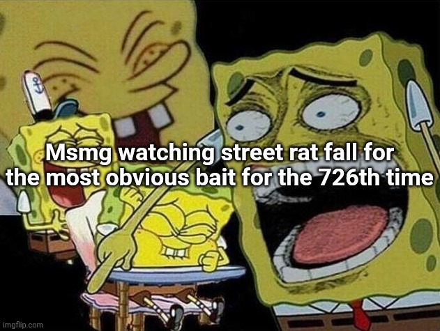 Spongebob laughing Hysterically | Msmg watching street rat fall for the most obvious bait for the 726th time | image tagged in spongebob laughing hysterically | made w/ Imgflip meme maker