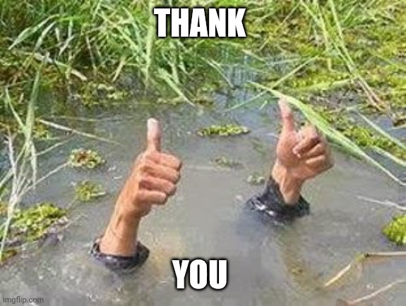 FLOODING THUMBS UP | THANK YOU | image tagged in flooding thumbs up | made w/ Imgflip meme maker