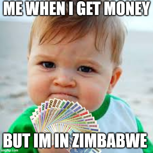 Zimbabwe babies be like | ME WHEN I GET MONEY; BUT IM IN ZIMBABWE | image tagged in sucsess kid | made w/ Imgflip meme maker