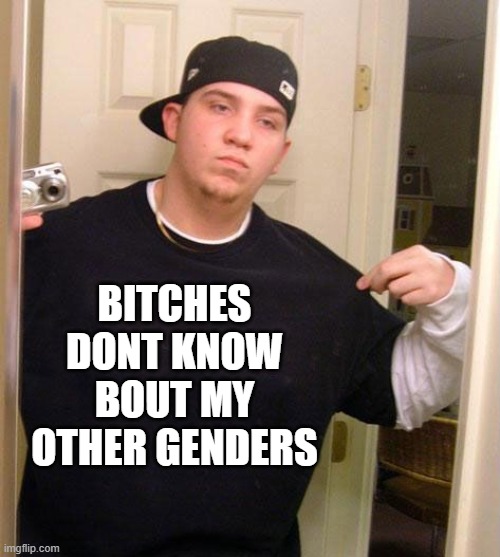 meme: bitches dont know bout my other genders