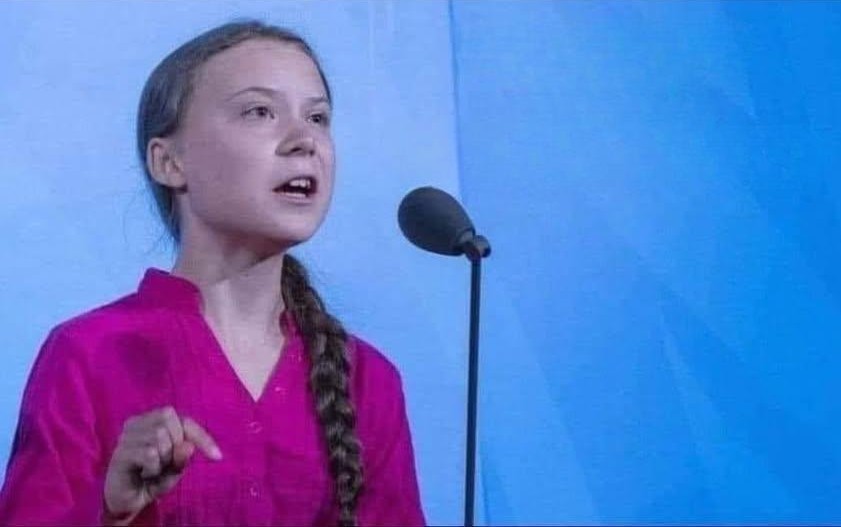High Quality greta thunberg Blank Meme Template