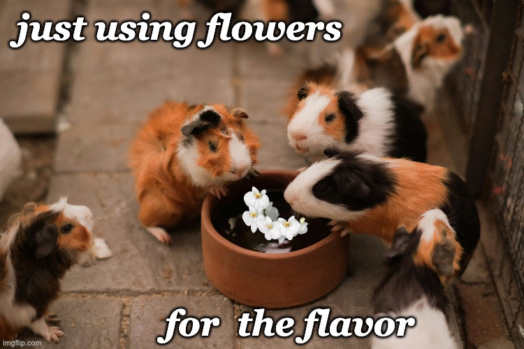 just using flowers for  the flavor | made w/ Imgflip meme maker