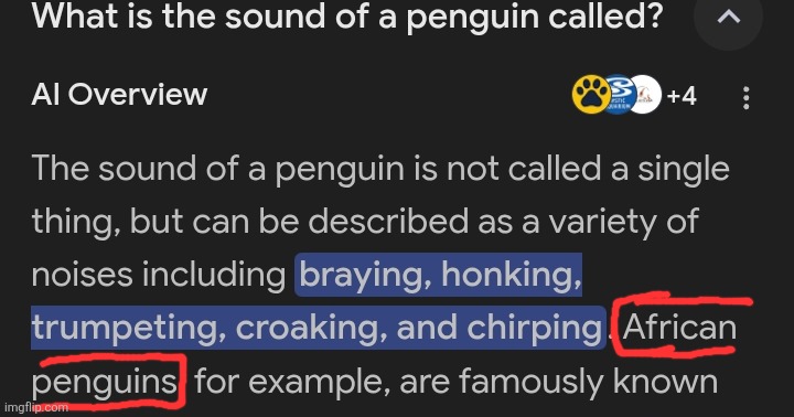 I was bored so I googled up what sound Penguins make and tfym african penguins exist | made w/ Imgflip meme maker
