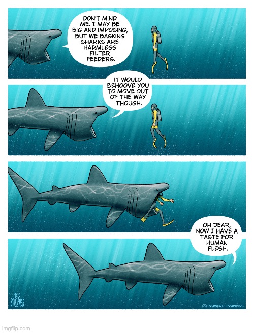 He should’ve moved… | image tagged in comics,drawer of drawings,basking shark,filter feeder,diver,he shouldve moved | made w/ Imgflip meme maker