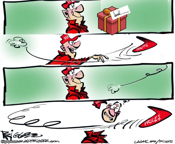 Beware Grifts bearing gifts | image tagged in trump,idiocracy,maga,danger,tariffs,grift | made w/ Imgflip meme maker