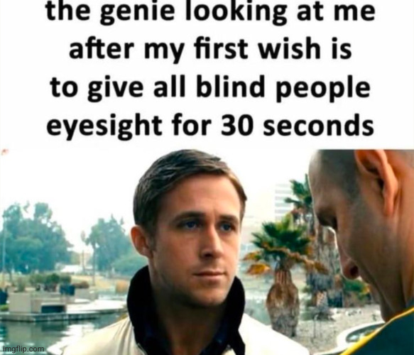 and then my next 2 is | image tagged in genie,blind people,funny,wish,memes,meme | made w/ Imgflip meme maker