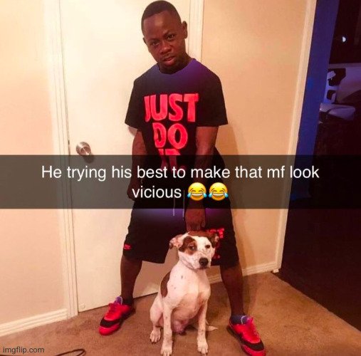 bro is the goodest boy ever | image tagged in dog,dawg,vicious,funny | made w/ Imgflip meme maker