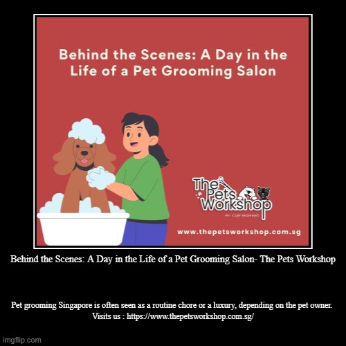 Behind the Scenes: A Day in the Life of a Pet Grooming Salon- The Pets Workshop | Pet grooming Singapore is often seen as a routine chore or | image tagged in funny,demotivationals | made w/ Imgflip demotivational maker