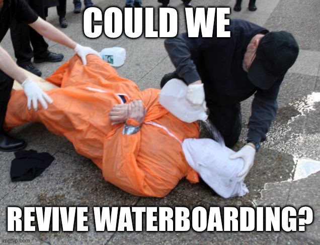 waterboarding | COULD WE REVIVE WATERBOARDING? | image tagged in waterboarding | made w/ Imgflip meme maker