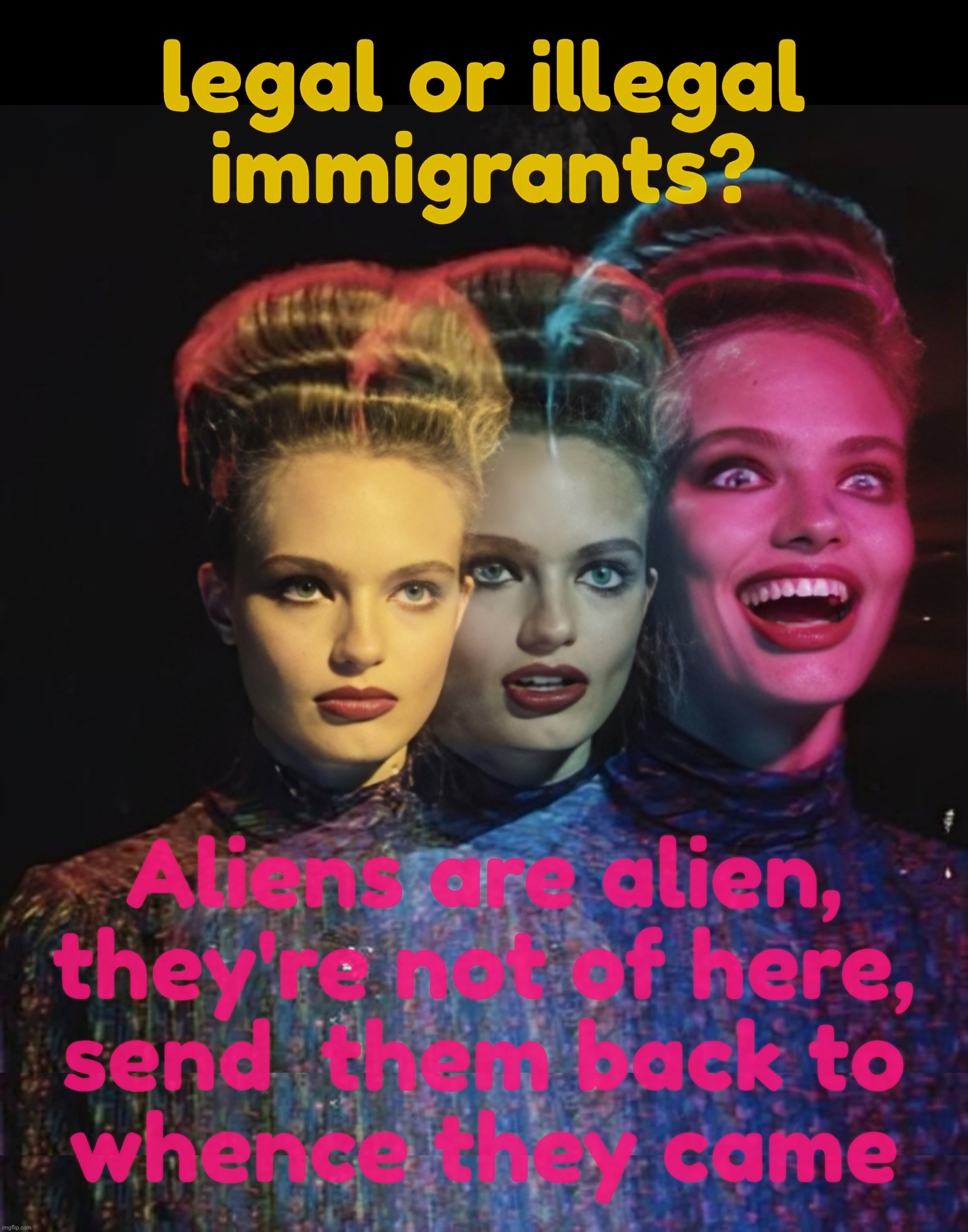 legal or illegal
immigrants? Aliens are alien,
they're not of here,
send  them back to
whence they came | image tagged in hardy har har ii | made w/ Imgflip meme maker