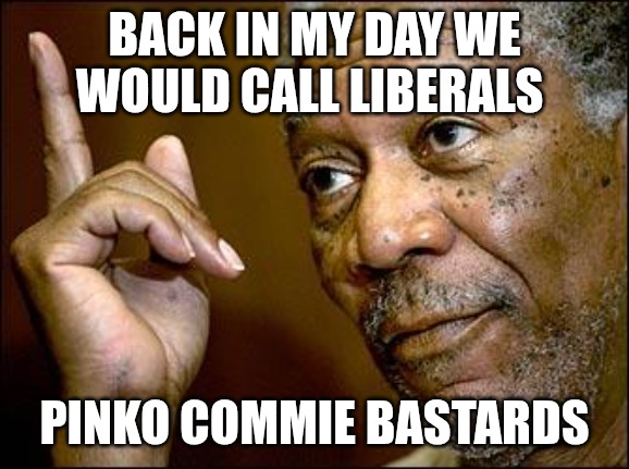 This Morgan Freeman | BACK IN MY DAY WE WOULD CALL LIBERALS; PINKO COMMIE BASTARDS | image tagged in this morgan freeman | made w/ Imgflip meme maker
