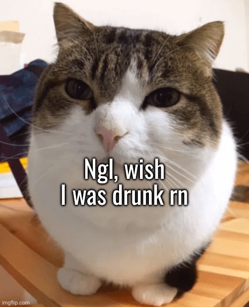 Oh the misery (original) | Ngl, wish I was drunk rn | image tagged in oh the misery original | made w/ Imgflip meme maker