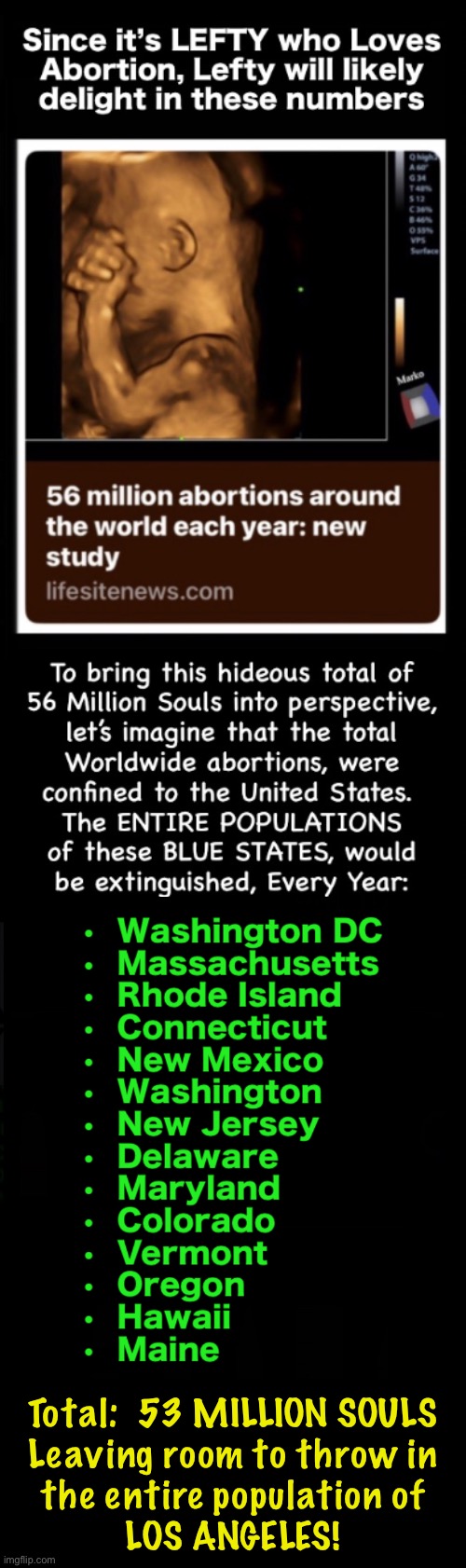 That’s a Ginormous Number to Be Taken — EVERY YEAR! | Total:  53 MILLION SOULS
Leaving room to throw in
the entire population of
LOS ANGELES! | image tagged in memes,i couldnt kill animals,some kill their own kids,barbaric offering to baal,murderers fjb voters kissmyass | made w/ Imgflip meme maker