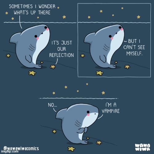 image tagged in shark,starfish,stars,reflection,vampire,oof | made w/ Imgflip meme maker