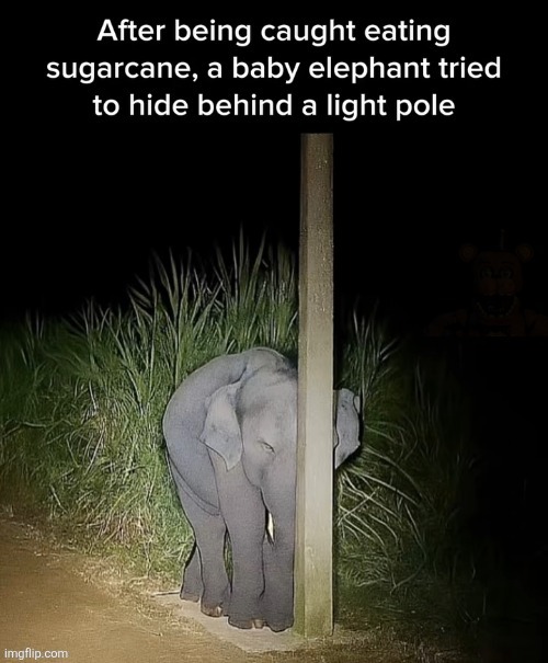 Wholesome content | made w/ Imgflip meme maker