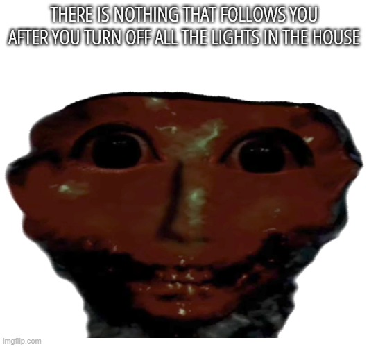 THERE IS NOTHING THAT FOLLOWS YOU AFTER YOU TURN OFF ALL THE IN THE HOUSE | THERE IS NOTHING THAT FOLLOWS YOU AFTER YOU TURN OFF ALL THE LIGHTS IN THE HOUSE | image tagged in doctor nowhere,help me | made w/ Imgflip meme maker
