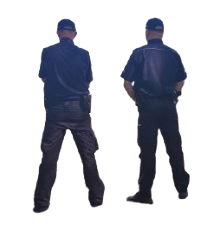 Dzielnicowi Meme Template