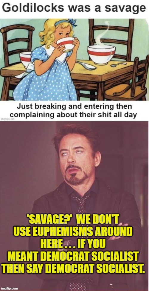 Say what you MEAN. | 'SAVAGE?'  WE DON'T USE EUPHEMISMS AROUND HERE . . . IF YOU MEANT DEMOCRAT SOCIALIST THEN SAY DEMOCRAT SOCIALIST. | image tagged in yep | made w/ Imgflip meme maker