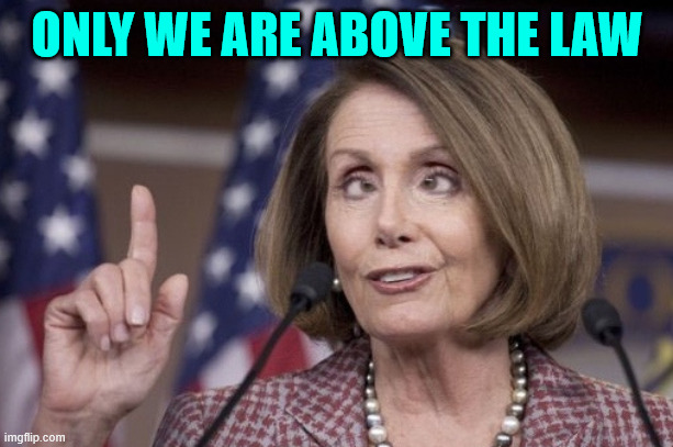 Nancy pelosi | ONLY WE ARE ABOVE THE LAW | image tagged in nancy pelosi | made w/ Imgflip meme maker