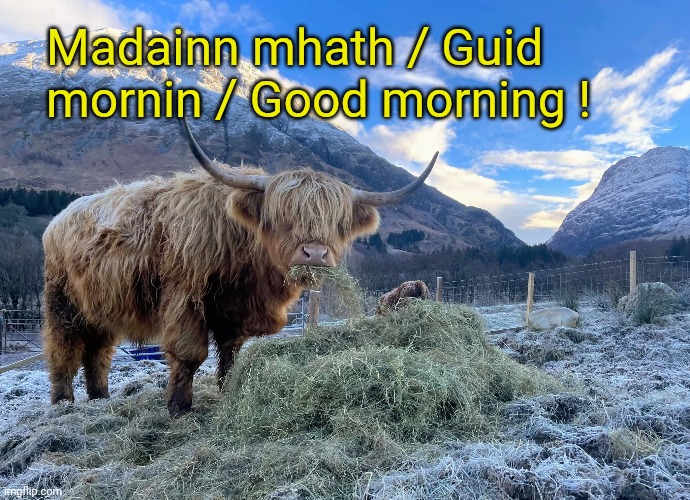 Good morning! :) | Madainn mhath / Guid mornin / Good morning ! | image tagged in memez | made w/ Imgflip meme maker