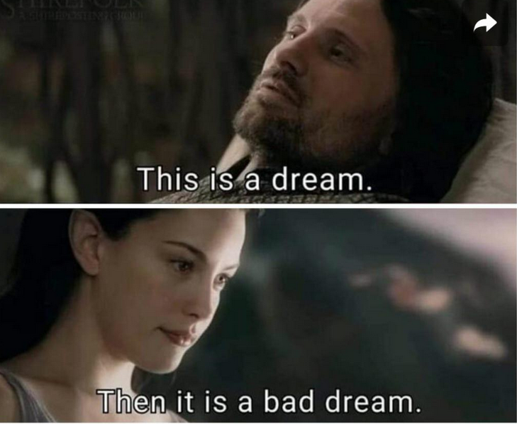Aragorn this is a dream Blank Meme Template