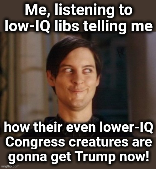 Jasmine Crockett is the brains of their organization | Me, listening to low-IQ libs telling me; how their even lower-IQ
Congress creatures are
gonna get Trump now! | image tagged in tobey maguire/peter parker smirk,memes,jasmine crockett,trump derangement syndrome,democrats,congress | made w/ Imgflip meme maker
