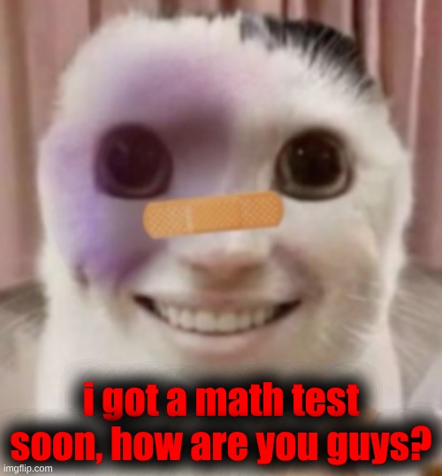 trauma cat | i got a math test soon, how are you guys? | image tagged in trauma cat | made w/ Imgflip meme maker