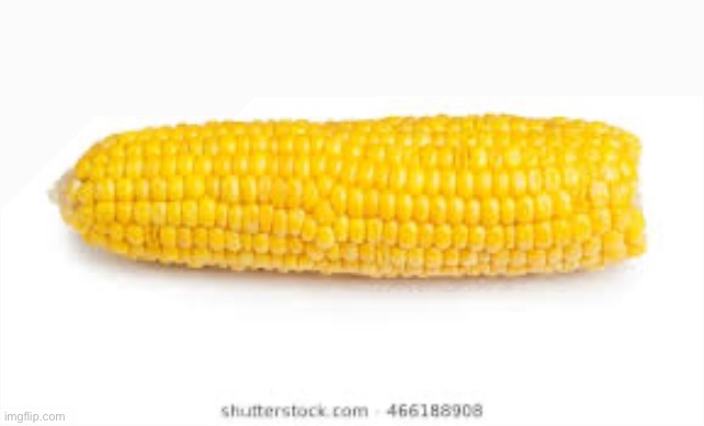 how corny is this image | image tagged in corn on the cob | made w/ Imgflip meme maker