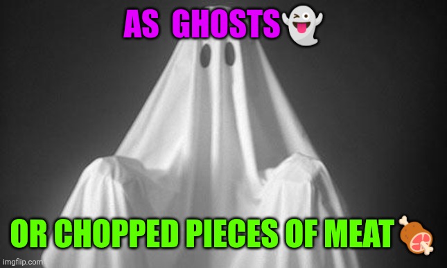Ghost | AS  GHOSTS? OR CHOPPED PIECES OF MEAT? | image tagged in ghost | made w/ Imgflip meme maker