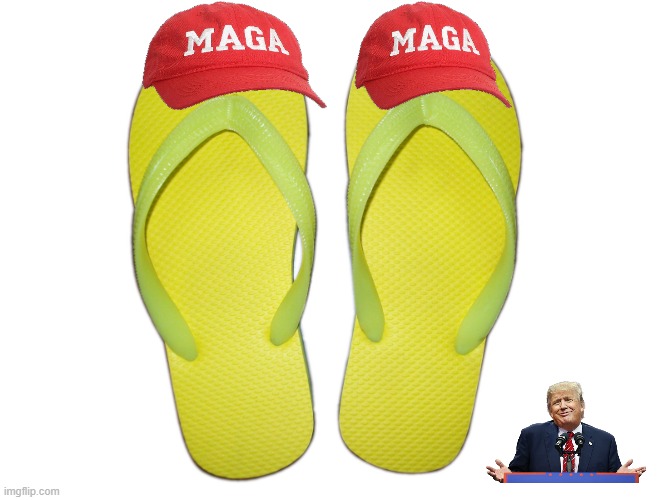 Flip flopping is MAGA now! | image tagged in trump,donald trump,maga,jeffrey epstein,epstein,nevertrump | made w/ Imgflip meme maker