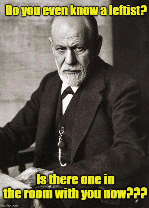 Freud | Do you even know a leftist? Is there one in the room with you now??? | image tagged in freud | made w/ Imgflip meme maker