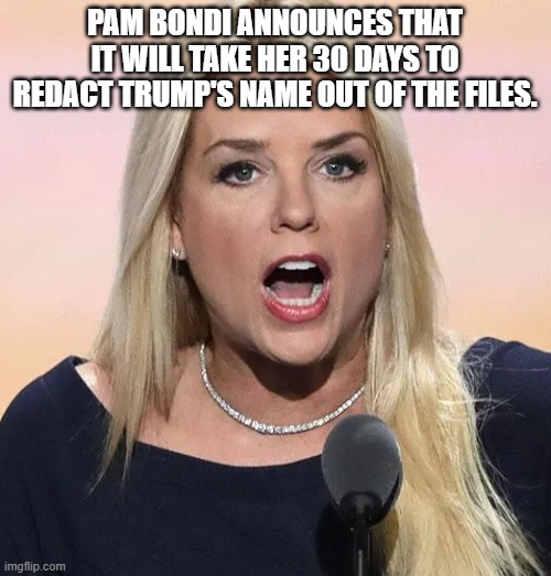 Time to "redact" | PAM BONDI ANNOUNCES THAT IT WILL TAKE HER 30 DAYS TO REDACT TRUMP'S NAME OUT OF THE FILES. | image tagged in trump,jeffrey epstein,epstein,donald trump,maga,nevertrump | made w/ Imgflip meme maker