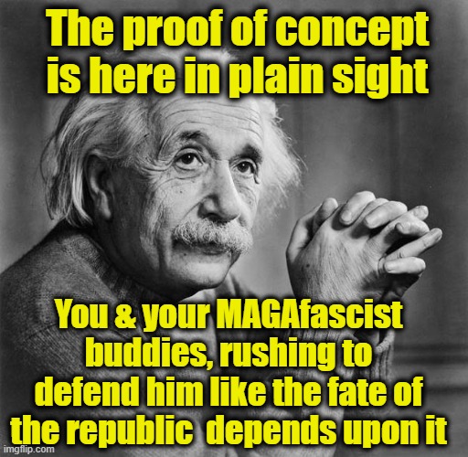 Einstein | The proof of concept is here in plain sight You & your MAGAfascist buddies, rushing to defend him like the fate of the republic  depends upo | image tagged in einstein | made w/ Imgflip meme maker