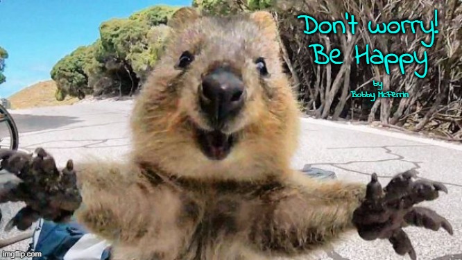 Don't Worry. Be Happy. by Bobby McFerrin | Don't worry! 
  Be Happy; by
 Bobby McFerrin | image tagged in quokka hugz | made w/ Imgflip meme maker
