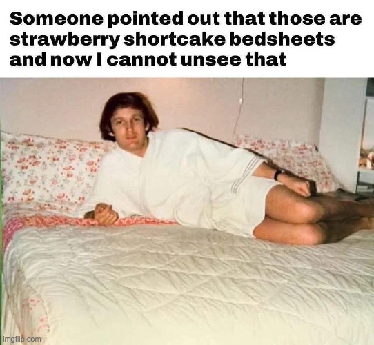 ivanka | image tagged in trump | made w/ Imgflip meme maker