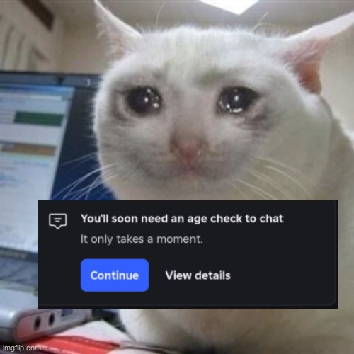 Crying cat | image tagged in crying cat | made w/ Imgflip meme maker