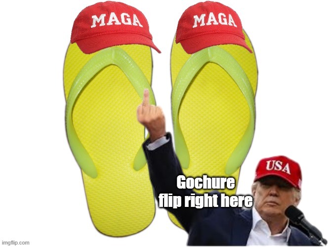 Gochure flip right here | made w/ Imgflip meme maker