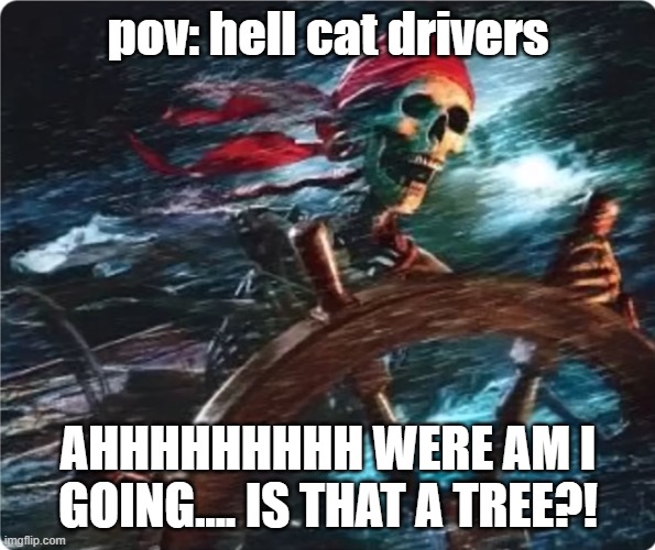 hell cat drivers be like | pov: hell cat drivers; AHHHHHHHHH WERE AM I GOING.... IS THAT A TREE?! | made w/ Imgflip meme maker