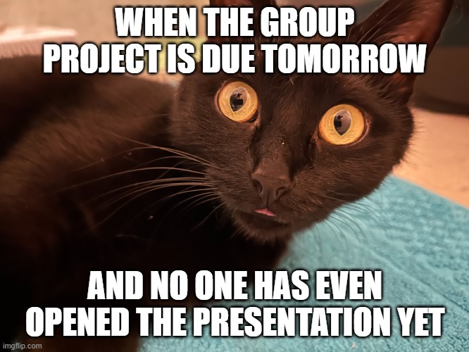 WHEN THE GROUP PROJECT IS DUE TOMORROW; AND NO ONE HAS EVEN OPENED THE PRESENTATION YET | image tagged in school | made w/ Imgflip meme maker