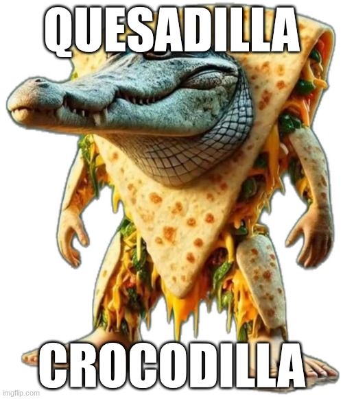 Quesadilla Crocodilla | QUESADILLA; CROCODILLA | image tagged in quesadilla crocodilla | made w/ Imgflip meme maker