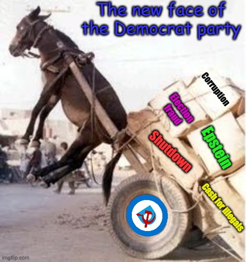 Time to rebrand the DNC, how about this new image? | The new face of the Democrat party; Corruption; Election fraud; Epstein; Shutdown; Cash for illegals | image tagged in overloaded donkey | made w/ Imgflip meme maker