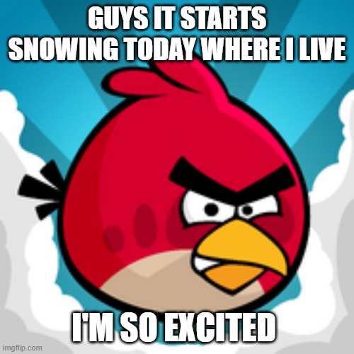YAY | GUYS IT STARTS SNOWING TODAY WHERE I LIVE; I'M SO EXCITED | image tagged in angy birbs,snow | made w/ Imgflip meme maker