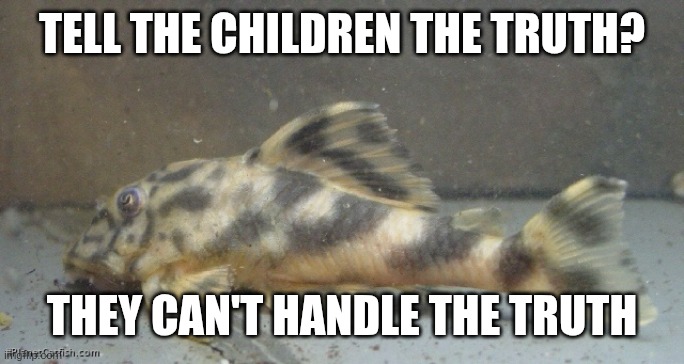 TELL THE CHILDREN THE TRUTH? THEY CAN'T HANDLE THE TRUTH | made w/ Imgflip meme maker