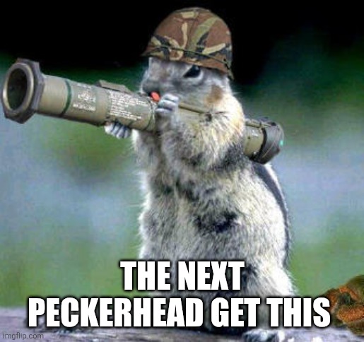 Bazooka Squirrel Meme | THE NEXT PECKERHEAD GET THIS | image tagged in memes,bazooka squirrel | made w/ Imgflip meme maker