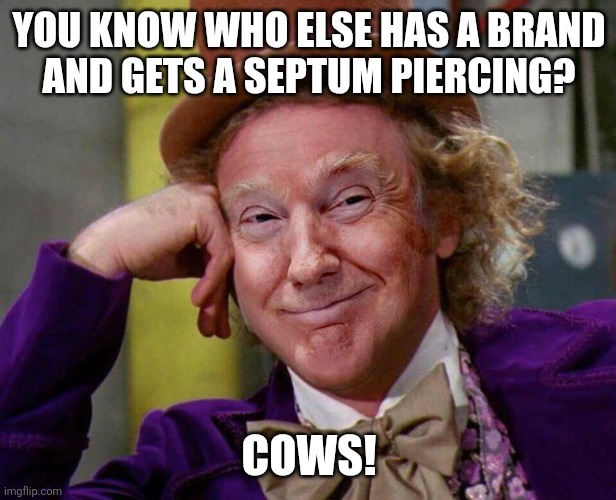 Donald Trump Willy Wonka | YOU KNOW WHO ELSE HAS A BRAND
AND GETS A SEPTUM PIERCING? COWS! | image tagged in donald trump willy wonka | made w/ Imgflip meme maker